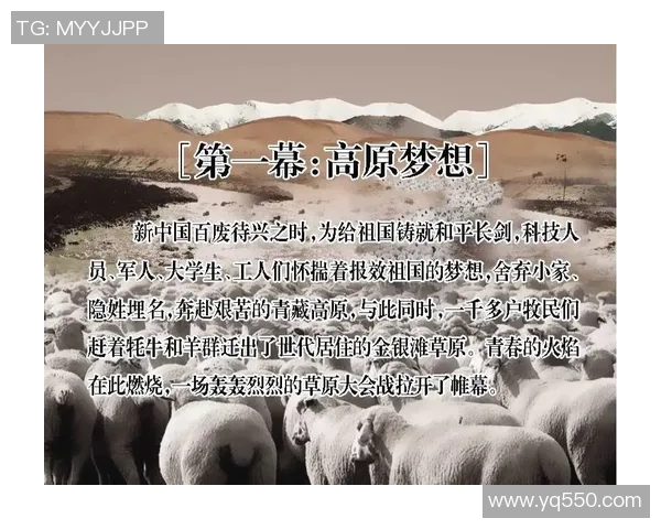 追寻那份纯粹足球精神的明星背后故事与荣耀之路