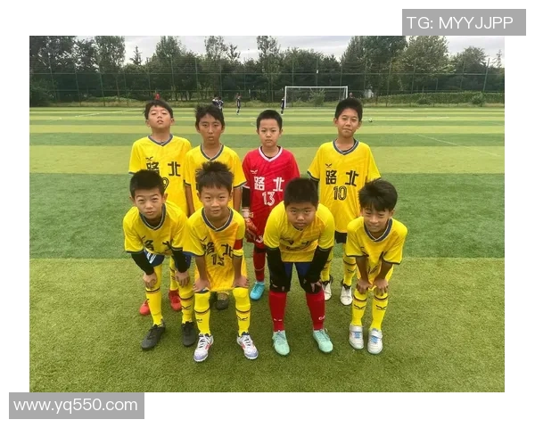 上海足球队的转型之路:从传统强队到现代化精英团队的蜕变与挑战